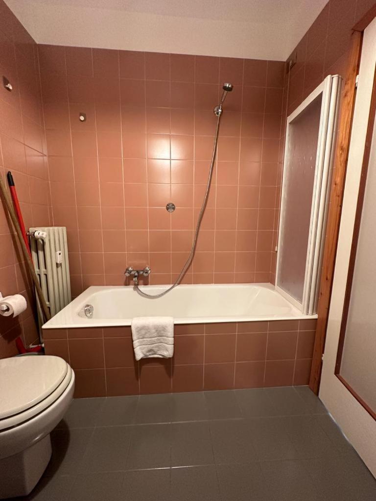 Alpine Dream Apartments Бормио Экстерьер фото
